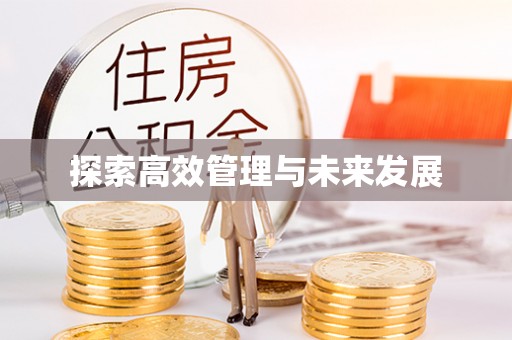 平罗探索高效管理与未来发展