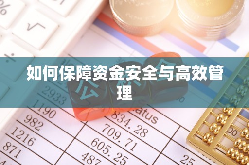 平罗如何保障资金安全与高效管理