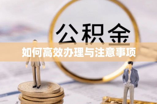 平罗如何高效办理与注意事项