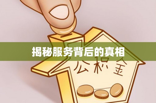 平罗揭秘服务背后的真相