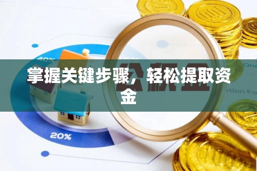 平罗掌握关键步骤，轻松提取资金