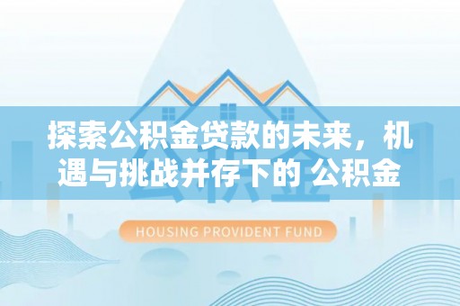 平罗探索公积金贷款的未来，机遇与挑战并存下的 公积金贷款风险防控
