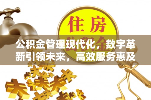平罗公积金管理现代化，数字革新引领未来，高效服务惠及民生