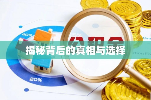 平罗揭秘背后的真相与选择
