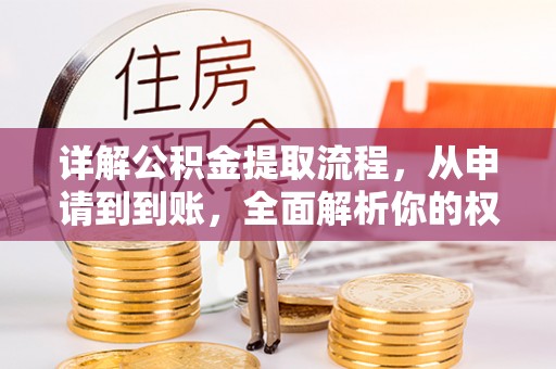 平罗详解公积金提取流程，从申请到到账，全面解析你的权益与操作步骤