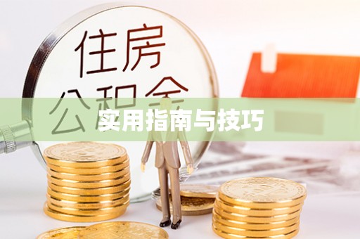 平罗实用指南与技巧