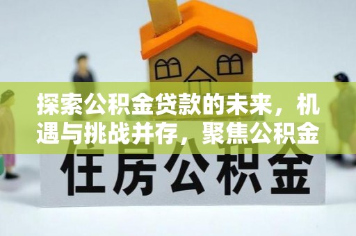 平罗探索公积金贷款的未来，机遇与挑战并存，聚焦公积金贷款风险防控策略