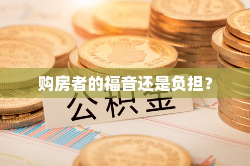 平罗购房者的福音还是负担？