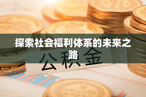 平罗探索社会福利体系的未来之路