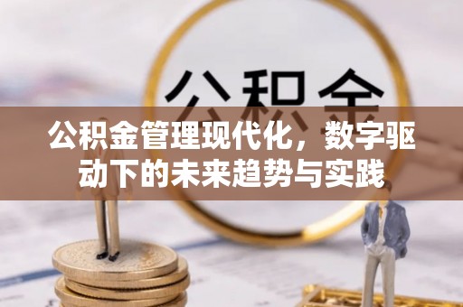 平罗公积金管理现代化，数字驱动下的未来趋势与实践