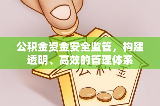 平罗公积金资金安全监管，构建透明、高效的管理体系
