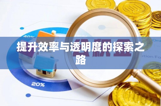 平罗提升效率与透明度的探索之路