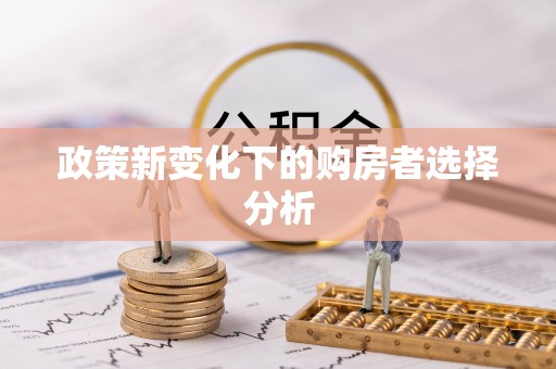 平罗政策新变化下的购房者选择分析