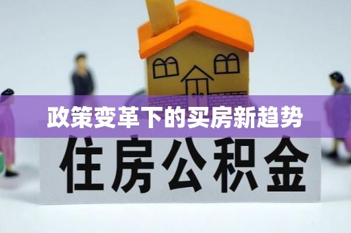 平罗政策变革下的买房新趋势