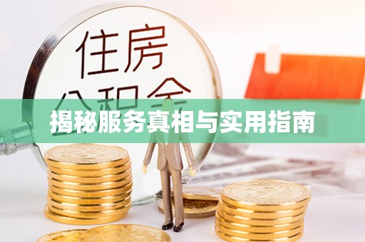 平罗揭秘服务真相与实用指南