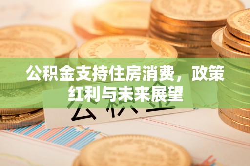 平罗公积金支持住房消费，政策红利与未来展望