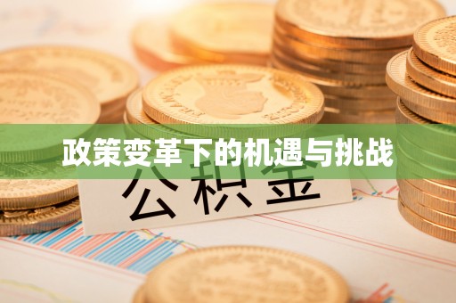 平罗政策变革下的机遇与挑战