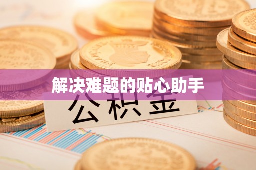 平罗解决难题的贴心助手