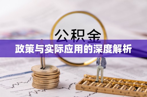 平罗政策与实际应用的深度解析