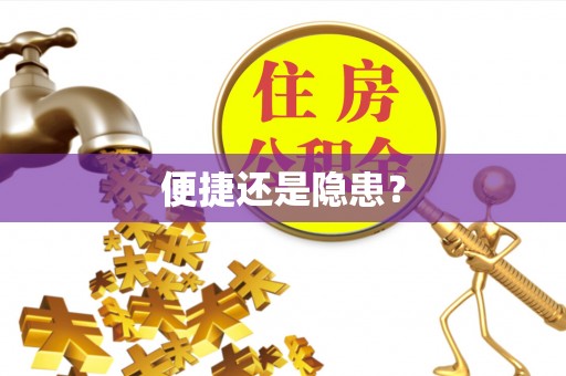 平罗便捷还是隐患？