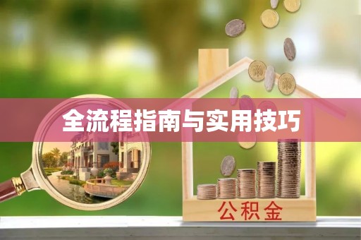 平罗全流程指南与实用技巧