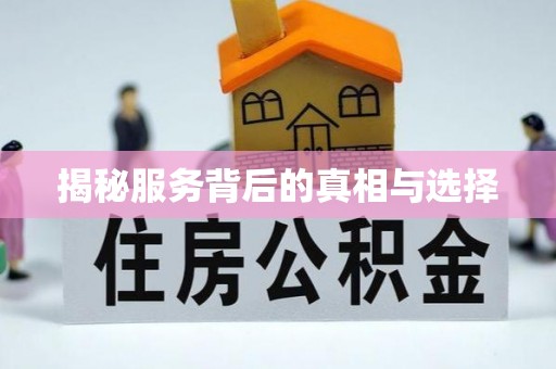平罗揭秘服务背后的真相与选择