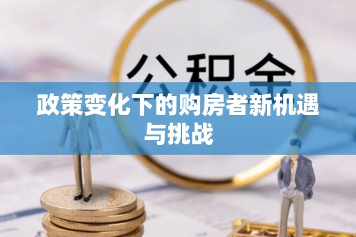 平罗政策变化下的购房者新机遇与挑战