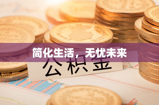 平罗简化生活，无忧未来