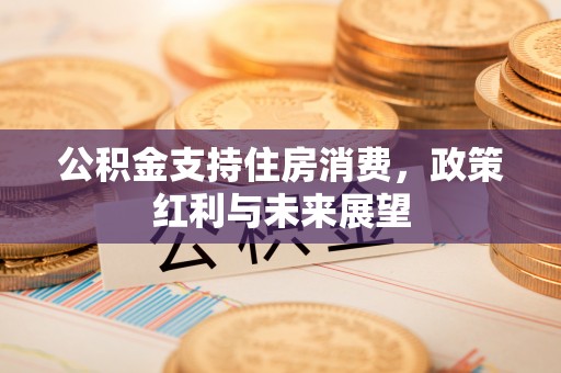 平罗公积金支持住房消费，政策红利与未来展望