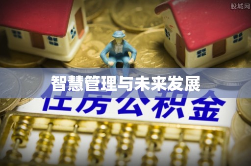 平罗智慧管理与未来发展