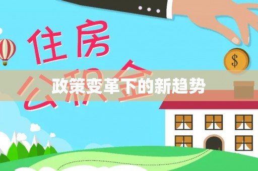 平罗政策变革下的新趋势