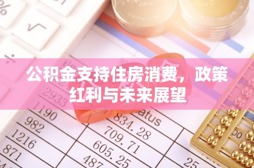 平罗公积金支持住房消费，政策红利与未来展望