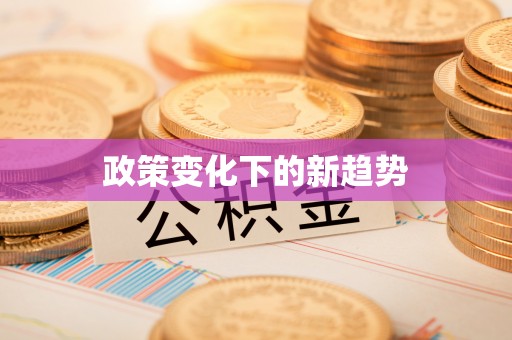 平罗政策变化下的新趋势