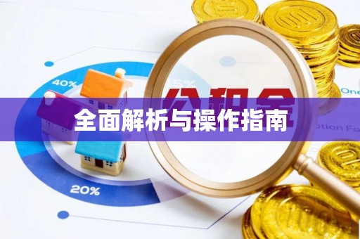 平罗全面解析与操作指南