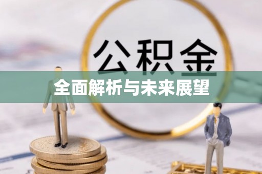 平罗全面解析与未来展望