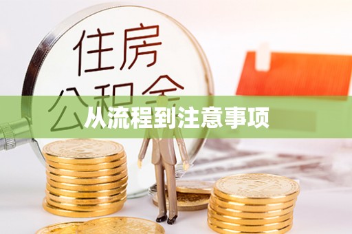 平罗从流程到注意事项