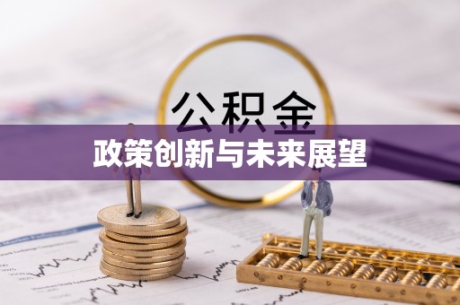 平罗政策创新与未来展望