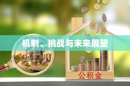 平罗机制、挑战与未来展望